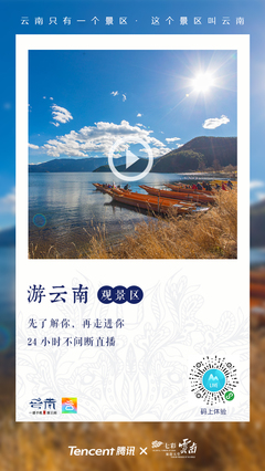 數(shù)字浪潮，云嶺新篇 數(shù)字中國戰(zhàn)略在云南廣告服務(wù)領(lǐng)域的實踐與展望